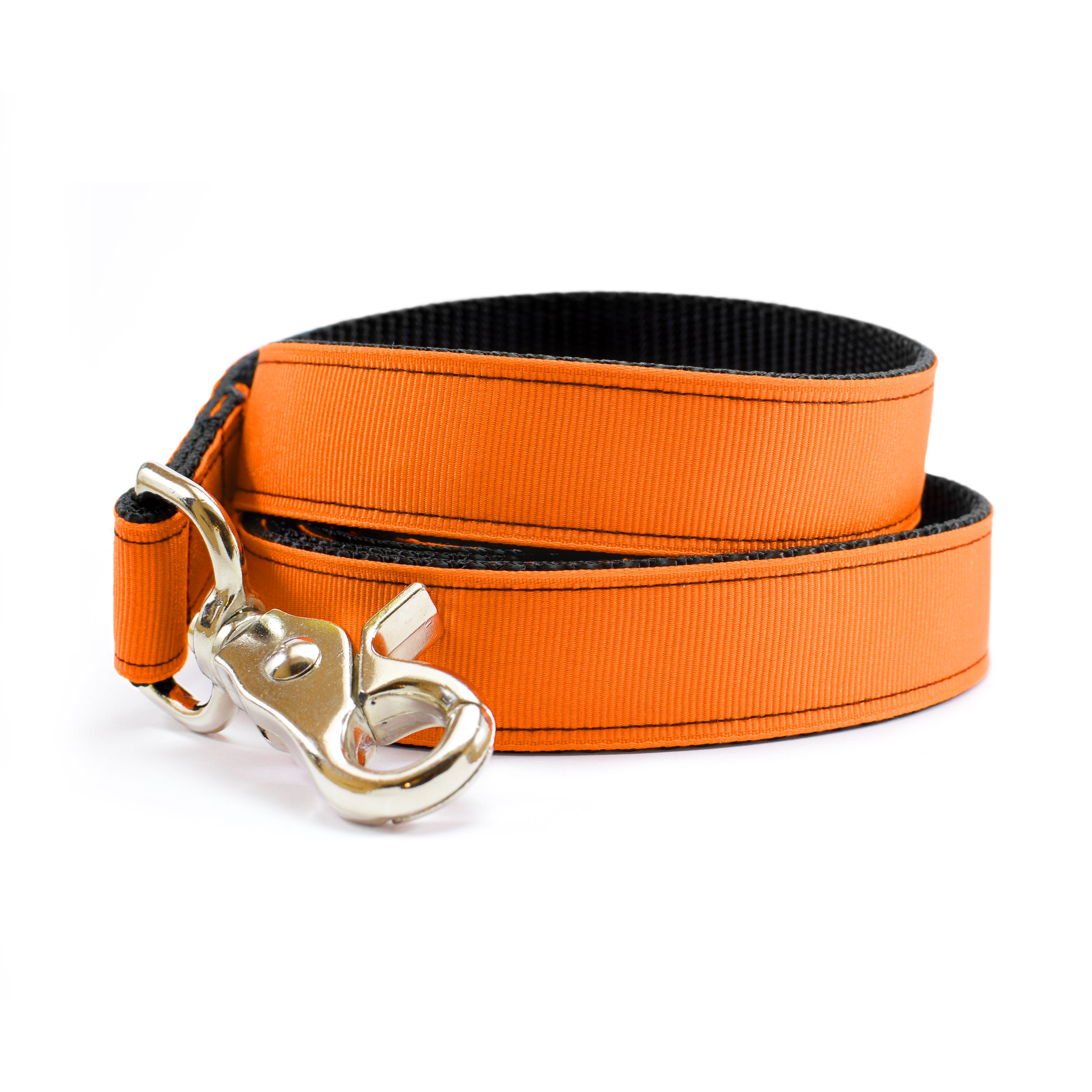 Orange dog collar and leash online