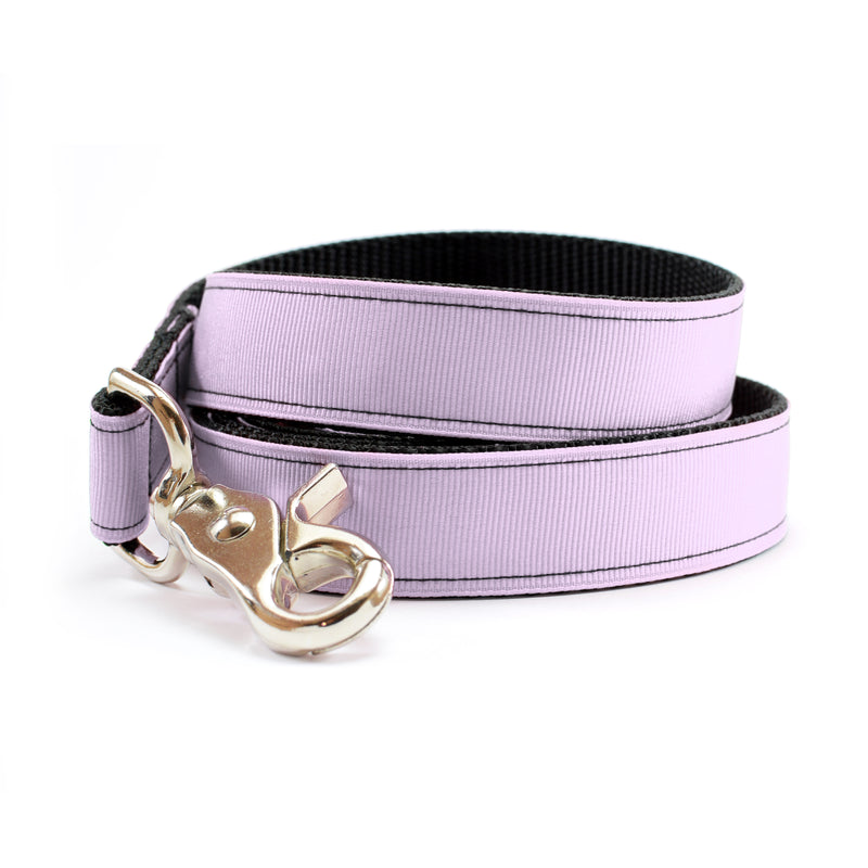 Catmint Purple Leash