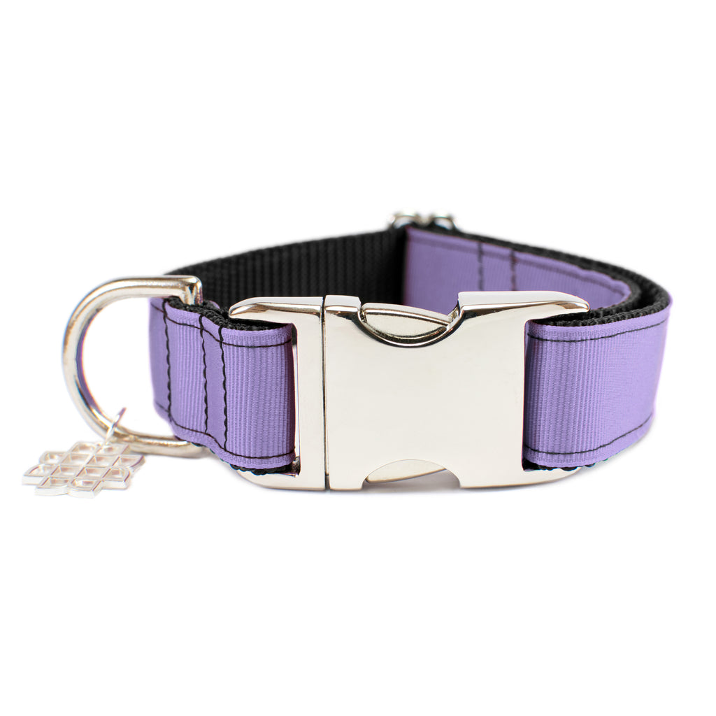 Lilac Purple Collar