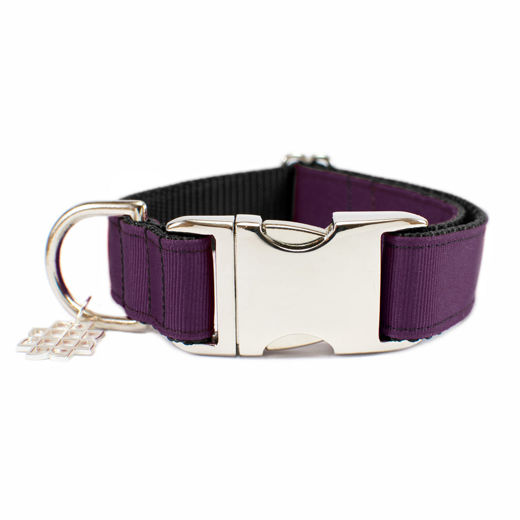 Plum Purple Collar